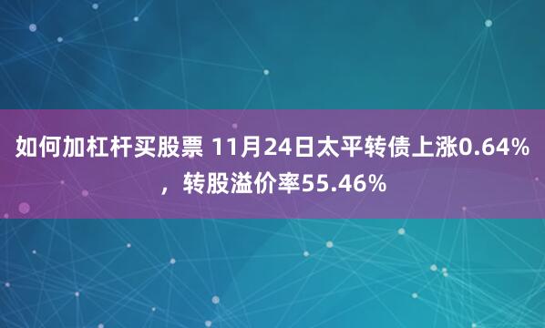 如何加杠杆买股票 11月24日太平转债上涨0.64%，转股溢价率55.46%