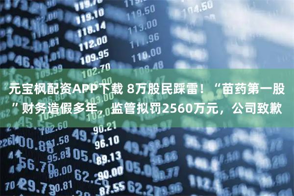 元宝枫配资APP下载 8万股民踩雷！“苗药第一股”财务造假多年，监管拟罚2560万元，公司致歉