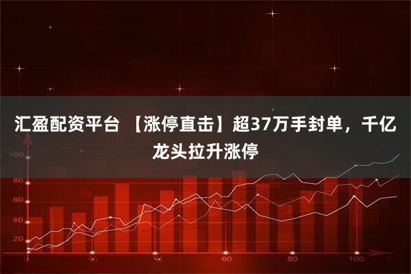 汇盈配资平台 【涨停直击】超37万手封单，千亿龙头拉升涨停